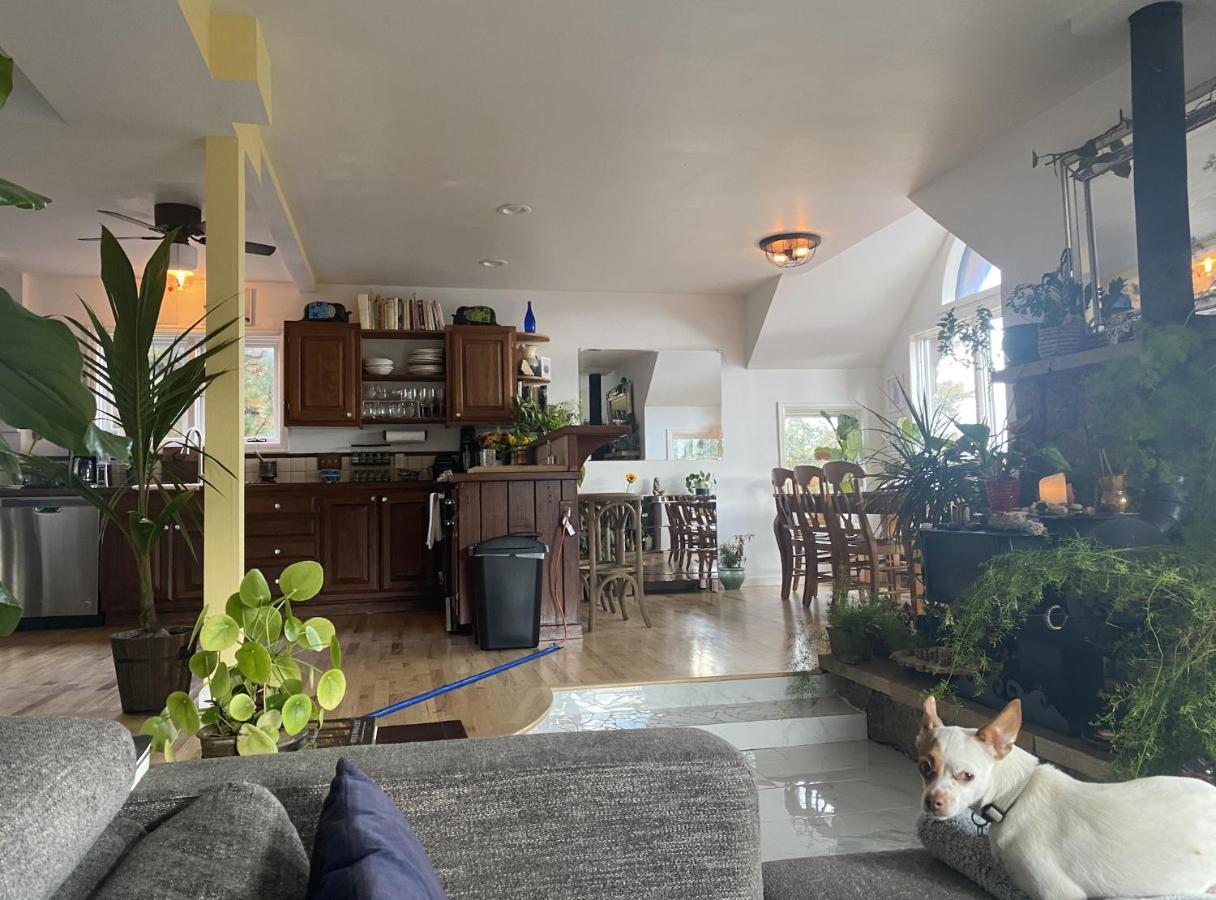 Boulder Best City And Nature With Lake And Trails Pets Ok Zewnętrze zdjęcie
